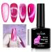 NAILGIL Cat Eye Gel Nail Polish with Magnet Cat Eye Gel Nail Polish UV Gel Nail Polish Galaxy Soaking Holographic Cat Eyes Nail Polish Gel for Nail Art Manicure Salon DIY Jelly Rose