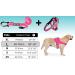Bike & Dog Leash Set - Patented Dog Harness & Dishes with 3 Rings | Perfect for Biking with Your Dog - Pink - Buy Online on GoSupps.com