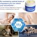 Baume Musculaire 90g Cr me de Maintenance Musculaire Baume L ger Absorption Rapide Hydratant Topique pour Pieds Mains Cou paules Femmes Hommes - Buy Online on GoSupps.com