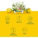Ricola Original Natural Herb Cough Drops - 50 Drops | Soothing Throat Relief & Natural Cough Suppressant - Buy Online on GoSupps.com