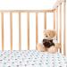 2 Pack Pack n Play Sheets for Graco Pack n Play/Mini Crib - Soft & Breathable Microfiber - Planet & Flower Green - Buy Online on GoSupps.com