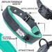 Black Rhino Comfort Collar - Super Soft Neoprene Dog Collar for All Breeds | Adjustable Reflective & Weatherproof (XL Aqua/Gray) - Buy Online on GoSupps.com