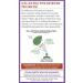 New Chapter Cinnamon Force - 60 Vegetarian Capsules for Health & Wellness - Buy Online on GoSupps.com