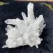 CIMWJOPS and Crystal Stone Natural Crystal Geode Stone White Crystal Stone White Crystal Cluster Clear Quartz 1KG - Buy Online on GoSupps.com