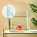 Rumyve Acrylic Shrimp Feeding Dish Fish Feeding Tube Tank Viewing Aquarium Feeding Tube Fish Food Container Shrimp Feeding Dish Set 25cm Tube and 6.5cm Feeding Bowl - Buy Online on GoSupps.com