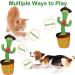 Dancing Cactus Singing Voice Recorder Baby Toy | 120 Songs, Funny & Educational Gift | Home Decoration Style B - Buy Online on GoSupps.com