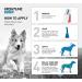 Frontline Spot On Flea Treatment For Dogs 20-40kg 1 pipettes Flea And Tick Treatment For Dogs Frontline Flea Treatment For Dogs Frontline Spot On For Dogs Frontline For Dogs - Buy Online on GoSupps.com