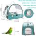 Wildox Portable Bird Carrier Travel Cage - Green Parrot Pet Transport - Buy Online on GoSupps.com