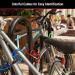 Master Lock 8127TRI Bike Lock Cables 3 Pack Keyed-Alike - Blue/Green/Red - 6 ft. Long - Buy Online on GoSupps.com