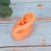 Buy Professional Silicone Left Ear Model - Anatomical Human Ohr Simulation for Acupuncture Training | International Shipping Available - Buy Online on GoSupps.com