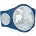 WWE Smackdown Tag Team Championship Commemorative Title Belt - Official Authentic Wear - Buy Online on GoSupps.com