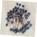 ABOOFAN 100pcs Simulation Blueberry Decoration Red Berry Branches Faux Blueberries Stems Artificial Christmas Pick Blue Pip Berry Stems Spray Holly Berry Stem Manual Foam Party Supplies Dark Blue 6.00X1.20X1.20CM - Buy Online on GoSupps.com