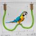 Buy Dnoifne 2PC Bird Hemp Rope Accessories - Cage Rod Paw Loops & Standing Seat for Parrots Budgies & Lovebirds (100 cm Green) - Buy Online on GoSupps.com