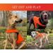Spot the Dog Reflective Vest - High Visibility Safety Apparel for Large Dogs | Fluorescent Orange | Easy Fastening Closure - Buy Online on GoSupps.com
