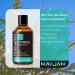 MAYJAM Cypress Essential Oil 100ML - Premium Cypress Oil for Diffuser & Humidifier | DIY Home & Wardrobe Freshener (Pack of 1) - Buy Online on GoSupps.com