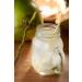 Wilderness Poets Instant Coconut Water Powder 4 oz - Freeze Dried Hydration - Buy Online on GoSupps.com