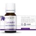 Lavender Essential Oil - 100% Pure & Natural 10ml UNDILUTED - Premium Scent for Aromatherapy & Relaxation - Buy Online on GoSupps.com