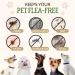 Flea and Tick Treatment for Dogs | All-Natural Formula | Easy Spot-On Application - Buy Online on GoSupps.com