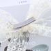 Xmsrn Vintage Large Bow Lace Hair Clip Barrette Bow White Lace Hair Barrette French Bow Mesh Head Clip Barrette Hair Accessories for Women and Girls (White) - Buy Online on GoSupps.com