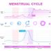 Easy Home 50 Bulk Pregnancy Tests Strips: Easy to Use & Early Detection Pregnancy Strips at Home - hCG Pregnancy Test Kits 50 count (Pack of 1) - Buy Online on GoSupps.com