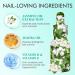 Organic Cuticle Nail Oil 15ml with Vitamin B&E, Jasmine Scent - Moisturizing Treatment for Damaged, Dry Nails | Nail Care Repair & Growth | Convenient Dropper Design - Buy Online on GoSupps.com