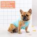 KYEESE 2 Pack Medium Dog Shirts - Breathable & Soft Tank Tops for Summer - Flamingo Pattern - 21 Chest - 2 Pack (Flamingo+Blue) - Buy Online on GoSupps.com