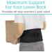 Vive Lower Back Support Brace - Adjustable Lumbar Belt for Heavy Lifting, Herniated Disc, Sciatica Relief - Compression Posture Device for Men & Women - Black (Waist Size 2...) - Buy Online on GoSupps.com