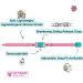Shop Kittyrama Neck Bands for Cats & Kittens - Vogue Featured Vet Approved Breakaway Hypoallergenic & Comfortable - Shop Now! - Buy Online on GoSupps.com
