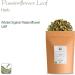 Organic Passionflower Tea for Anxiety Relief - Whole Leaf Dried Passiflora Herb - 100g Pack - Buy Online on GoSupps.com