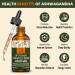 AureaSalus Liposomal Ashwagandha Drops 2000mg with Probiotics & Black Pepper Extract - Stress Relief & Energy Boost - 60ML - Buy Online on GoSupps.com