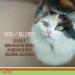 Licks Pill Free Cat Skin & Allergy Relief - Omega 3 Vitamins & Supplements - Turmeric Gel Packets 10ct - Buy Online on GoSupps.com