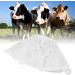 Premium Silicone Cattle Nipple Cover | Cow Breast Protection & Weaning Tools for Farm Use - Buy Online on GoSupps.com