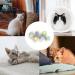 6-Piece Cat Toy Ball Set for Cats & Kittens | Boost Intelligence & Playtime Fun - Buy Online on GoSupps.com