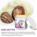 AOAO Stretch Mark Butter for Pregnancy | Body Balm for Women with Shea Butter & Vitamin E | Paraben-Free Formula for Scars & Stretch Mark Repair | Belly Butter for Pregnant Women (Shea Butter_1) - Buy Online on GoSupps.com