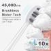 Sonic Electric Toothbrush for Adults - 8 Brush Heads 4 Modes Smart Timer IPX8 Fast Charge - Perfect Christmas Gift (White - Buy Online on GoSupps.com