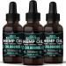 Hemp Oil Organic Extract-3 Pack-Ultra High Potensy Hemp Seed Oil-Made in USA, Full Flavor Natural Benefits, for Skin, Relief, Sleep, Relax, Discomfort, Massage-Safe for Pets-Full Omega 3,6, 9 1 Fl Oz (Pack of 3)