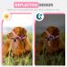 Large Pink Weesiber Dog Muzzle Leash Adjustable Padded Halter for Reducing Pulling | International Shipping - Buy Online on GoSupps.com