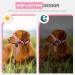 Adjustable Pink Dog Muzzle Halter for Strong Pulling - Weesiber Medium Size | No Pulling Leash Solutions - Buy Online on GoSupps.com