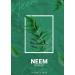 She Made Neem Powder - Buy Online on GoSupps.com