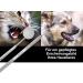 Premium Dog Tartar Remover Set | Stainless Steel Tooth Cleaner for Pets | Scaler & Toothbrush Replacement - Buy Online on GoSupps.com