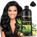 Herbal Shampoo Korea Yaguan Black Hair Shampoo Hair Dye Effective White Hair Turns To Black Instant Black Hair Shampoo for Women Men Lasts 30 Days (2PC- Black)