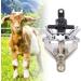 300cc Farm Equipment Milking Claw Collector Tool Milking Machine Accessories Without Valve for Cow Sheep Professional Milking Machine - Buy Online on GoSupps.com