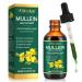 mullein leaf extract naturelles gouttes de mol ne avec chlorophylle pour poumons nettoyage absorption rapide 60 ml