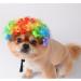 Funny Dog & Cat Role Play Wigs for Halloween & Christmas - Colorful Pet Costumes for Small Medium & Large Dogs - Buy Online on GoSupps.com