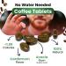 Buy PriFa Coffee Tablets - Cardamom Pocket Coffee Candy | Sugar-Free Instant Energy Keto-Friendly Caffeine Mints (25 Tablets - Buy Online on GoSupps.com