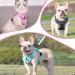 Adjustable Cat Dishes - Light Pink Pet Feeders for Cats & Dogs | Perfect for Kittens & Puppies | International Shipping - Buy Online on GoSupps.com