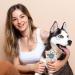 Wilhelm Fell Case for EU Pet ID Card | Personalized Gift for Dog Owners | Protective Cover for Pet ID (Rocky) - Buy Online on GoSupps.com