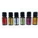 Wild Essentials 6 Pack Aromatherapy Essential Oil Gift Set - 100% Pure 10ml Blends: Breathe Easy Alert Inner Calm Relax Uplifting Zen - Made in USA - Perfect for International Shipping - Buy Online on GoSupps.com