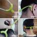 Bone 3 Pack Mask Holder Ear Hooks | Adjustable Anti-Slip Silicone Band for Adults & Kids | Comfortable Mask Extension - Short Black Set - Buy Online on GoSupps.com