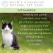 Natural Cat Shampoo with Aloe Vera Cedar & Lavender - 250ml | Sulfate & Paraben Free - Relieves Itching & Cleans Gently - NIP - Buy Online on GoSupps.com